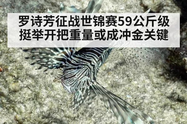 罗诗芳征战世锦赛59公斤级 挺举开把重量或成冲金关键